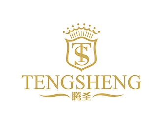 潘樂的騰圣有機玻璃工藝制品logo設(shè)計