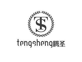 潘樂的騰圣有機玻璃工藝制品logo設(shè)計