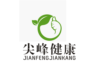 李正東的廣州尖峰健康科技有限公司logo設(shè)計(jì)