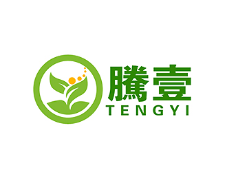 秦曉東的騰壹logo設計