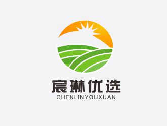 胡紅志的宸琳優(yōu)選logo設(shè)計