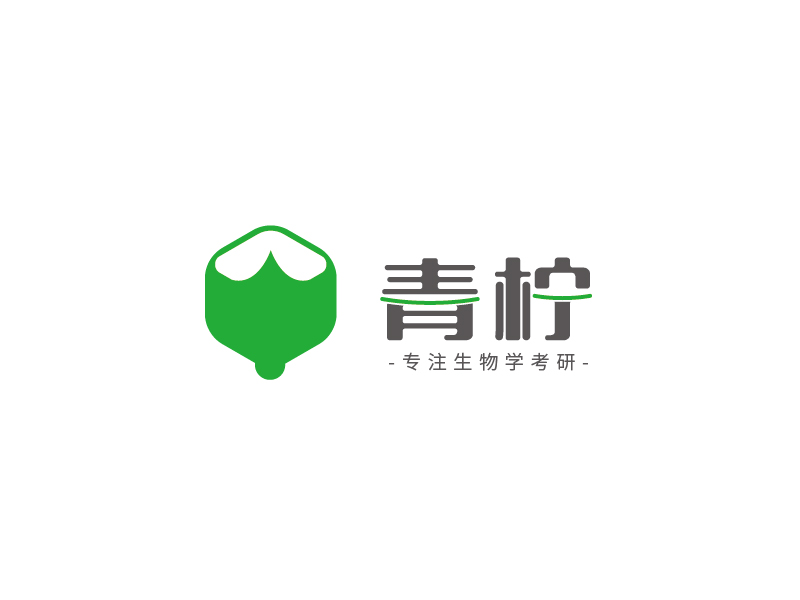 陸昌偉的青檸logo設(shè)計(jì)