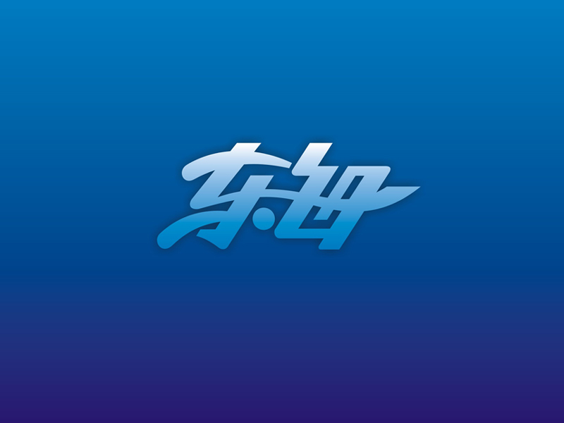 楊威的四川東海新材料有限公司logo設(shè)計(jì)