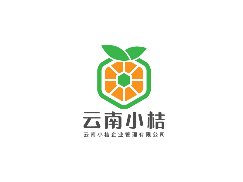 李寧的云南小桔企業(yè)管理有限公司logo設(shè)計