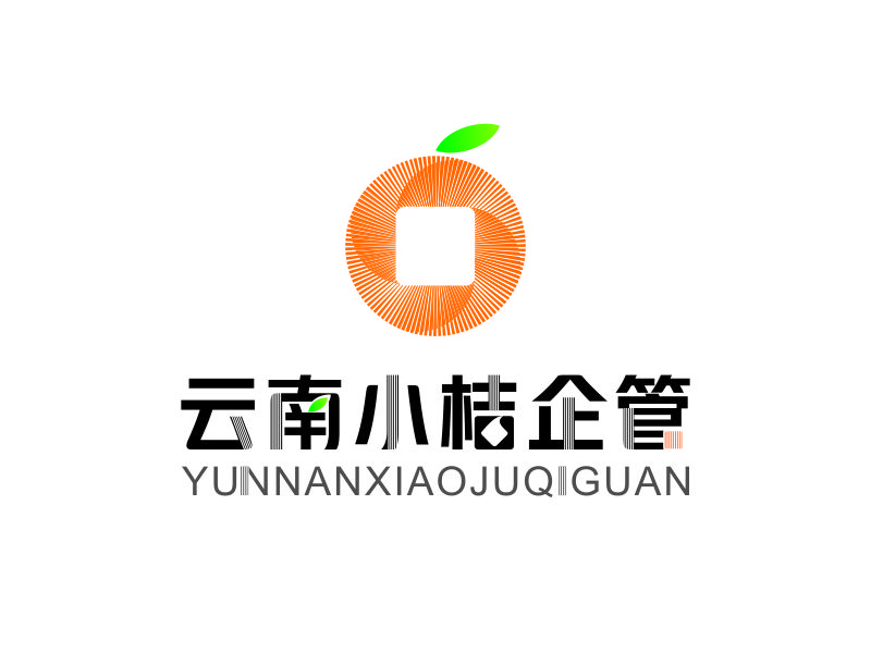 向紅的云南小桔企業(yè)管理有限公司logo設(shè)計